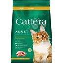 Корм сухой Cattera с курицей полнорационный для взрослых кошек 700г