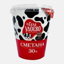 Сметана ИЗ села Удоево 30% 300г