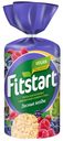 Хлебцы мультизлаковые Fitstart лесные ягоды 100 г