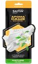 Арома саше для обуви Salton Sport Nature Detox, 2шт