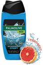 Гель для душа мужской 3 в 1 Palmolive Men Cпорт восстанавливающий, 250 мл