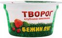 Творог Бежин луг Клубника-земляника 4,2%, 160 г