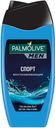 Гель для душа Восстанавливающий 3в1 «Спорт» Men Palmolive, 250 мл