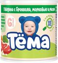 Пюре Тема говядина-брокколи-рис с 6 месяцев 90 г