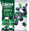 Черника СВОЙ УРОЖАЙ