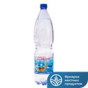 Вода минеральная ГОРЯЧИЙ КЛЮЧ 2000 газированная, 1,5 л