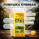 Ловушка клеевая для выявления и отлова белокрылки, Ваше Хозяйство, 2 пластины