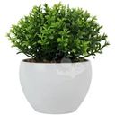 Искусственные цветы Seasons в горшке DC25070202