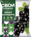 Смородина черная замороженная СВОЙ УРОЖАЙ, 300г