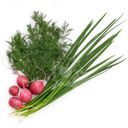 Набор Global Village для окрошки лук укроп редис 200г