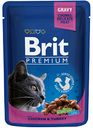 Корм для кошек Brit кусочки с курицей и индейкой, 100 г