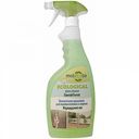 Средство для мытья стёкол и зеркал экологичное Molecola Изумрудный лес, 500 мл