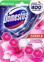Блок для унитаза DOMESTOS Power 5 Ледяная магнолия, 55г