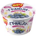 Гранола Ого с черникой, 40г