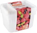 Контейнеры для заморозки ягод, овощей, фруктов Хозяюшка Мила 19×14,5×10 см, 1500 мл, 5 шт.