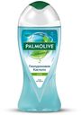 Гель для душа Palmolive Увлажняющий алоэ вера 250 мл