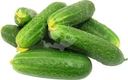 Огурцы короткоплодные