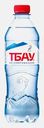Вода ТБАУ питьевая минеральная природная столовая негазированная 500мл