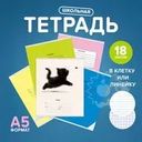 Тетрадь, 18 листов, клетка/линейка, в ассортименте