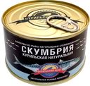 Скумбрия КУРИЛЬСКИЙ БЕРЕГ курильская натуральная, 250г