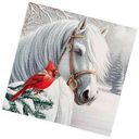 Салфетки бумажные Волшебная лошадь 33х33см, 3 слоя, 20шт
