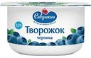 Творожок Савушкин Черника 3,5%, 120 г