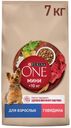 Сухой корм Purina ONE(R) для взрослых собак мелких и карлико