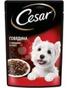 Корм влажный Cesar говядина с овощами в соусе для собак 85г