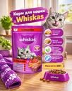 Корм для кошек, Whiskas, 350 г