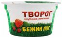 Творог мягкий Бежин Луг клубника-земляника 4,2% 160 г