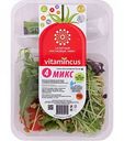Салатный ростковый микс Vitamincus №4, 100 г