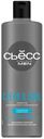 Шампунь Сьёсс Men 450мл clean & cool