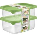 Набор контейнеров Sugar&Spice с крышкой 180мл, 2шт