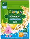 Каша GIPOPO молочная овсяная банан 200г