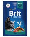 Влажный корм для кошек Brit Premium Утка в соусе, 85 г