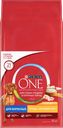 Корм сухой для взрослых собак PURINA ONE Курица, рис, для средних и крупных пород, 10кг