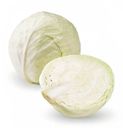 Капуста белокочанная