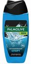 Гель для душа 3 в 1 восстанавливающий Palmolive Men Спорт для тела, лица и волос, 250 мл