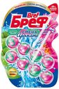 Туалетный блок подвесной Bref Perfume Switch Цветущая яблоня и Лотос 50 г x 2 шт