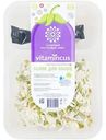 Смесь салатная Vitamincus Белок для мышц ростковый, 100г