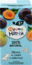 Нектар ФРУТОНЯНЯ Яблоко, слива с мякотью с сахаром, с 5 месяцев, 200мл
