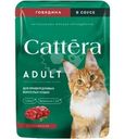 Корм влажный Cattera с говядиной в соусе для взрослых кошек 75г