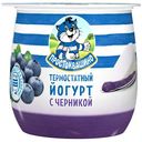 Йогурт термостатный Простоквашино двухслойный с черникой 3.4%, 160г