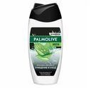 Гель для душа 4 в 1 Palmolive Men Очищение и уход мужской с экстрактом алоэ вера и витамином E 250 мл