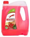 Стеклоомыватель зимний SIBIRIA -20℃ барбарис, 4 л