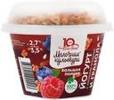 Йогурт МОЛОЧНАЯ КУЛЬТУРА с лесными ягодами с гранолой и изюмом 2,7–3,5%, без змж