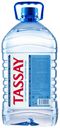 Вода питьевая TASSAY негазированная, 5 л