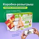 Коробка подарочная "Прикол", Prank Bank, в ассортименте