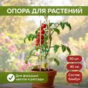 Опора для растений, GreenArt, 50 шт., 40 см, в ассортименте