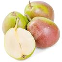 Груша Аббат Россия